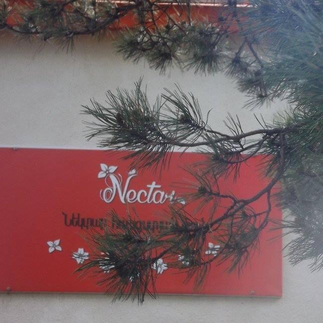 Nectar Hotel Stepanavan Exterior foto